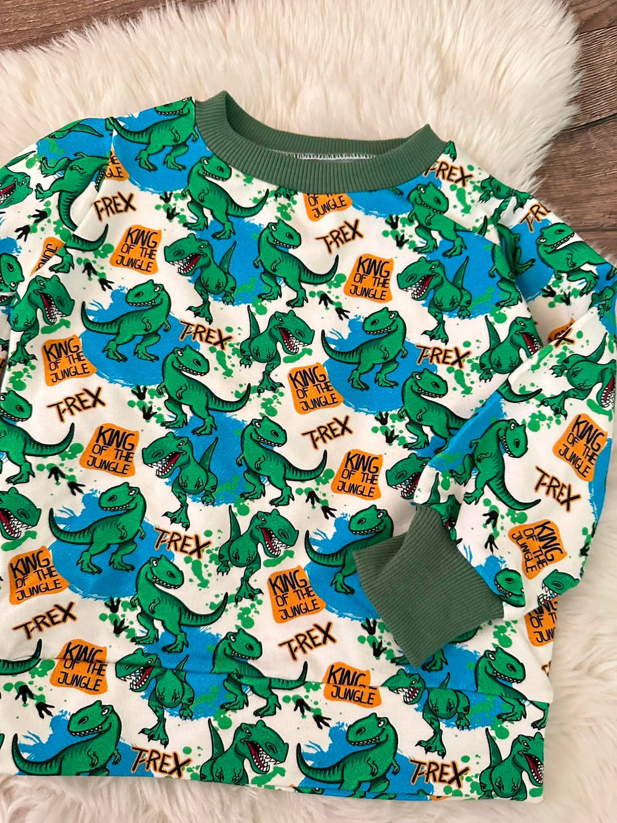 Boys Green Dinosaurs Sweatshirt