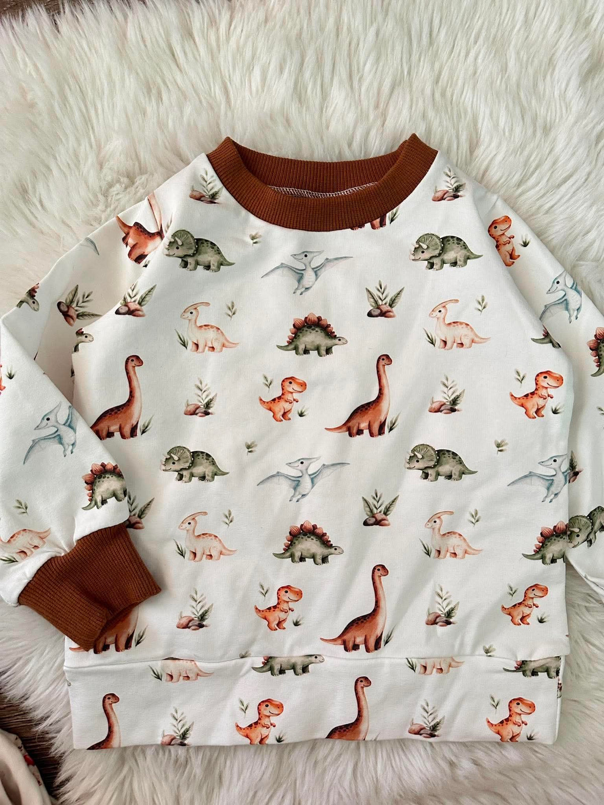 Boys Dinosaurs Sweatshirt