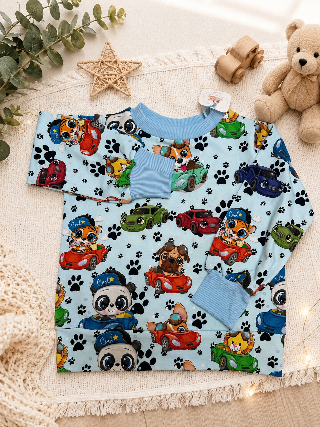 Boys Cars and Animals Sweatshirt